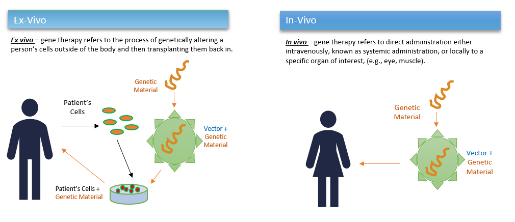 Cell Gene Therapy and Viral Vectors: How Can They Be Effective for